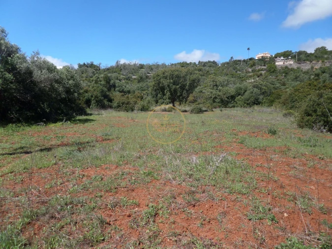 Terreno para Venda em Loule (São Clemente) Foto 12