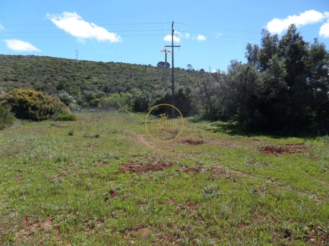 Terreno para Venda em Loule (São Clemente) Foto 14