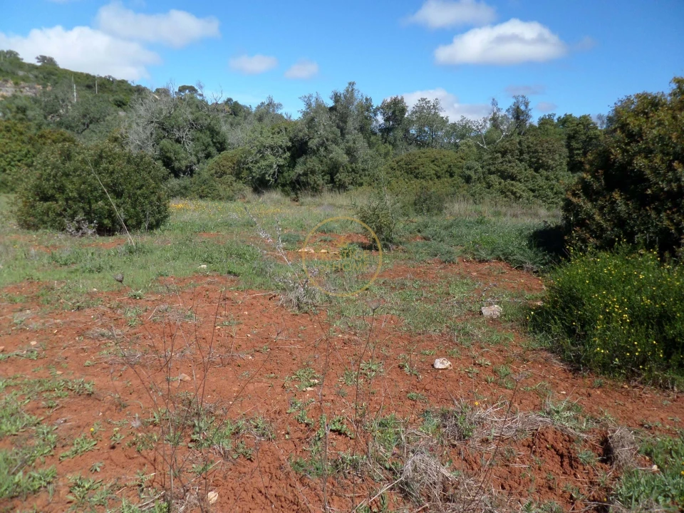 Terreno para Venda em Loule (São Clemente) Foto 13