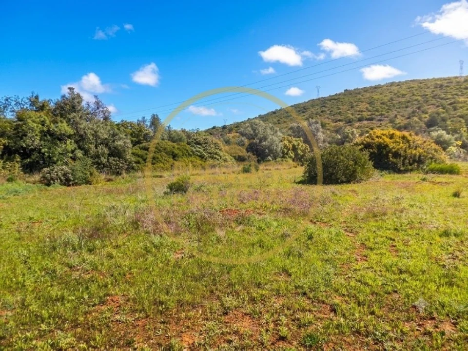 Terreno para Venda em Loule (São Clemente) Foto 15