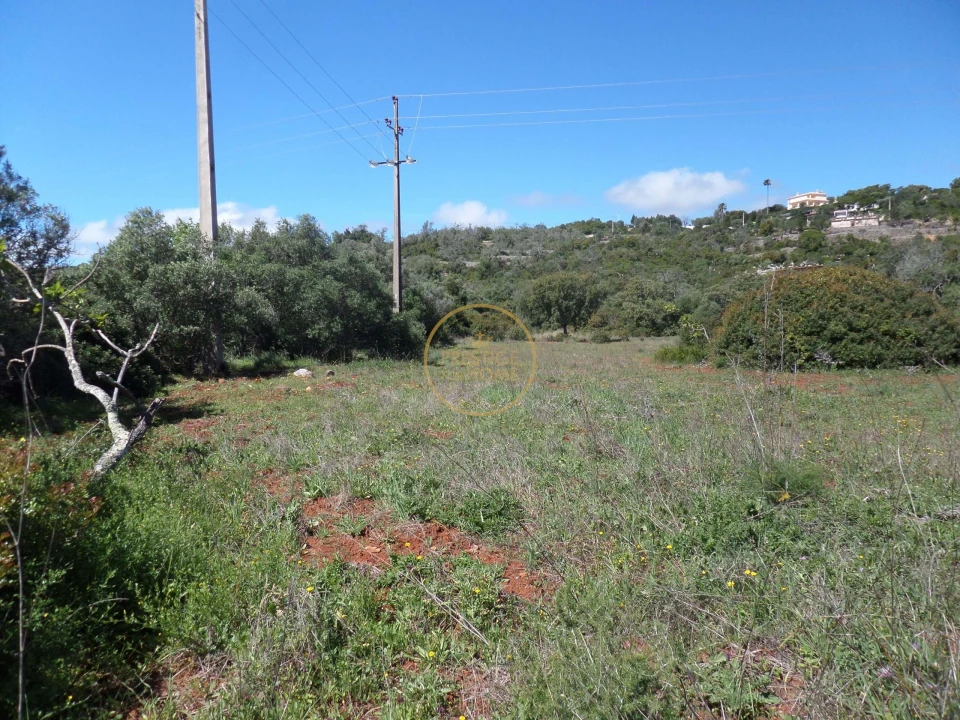 Terreno para Venda em Loule (São Clemente) Foto 9