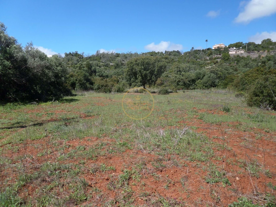 Terreno para Venda em Loule (São Clemente) Foto 12