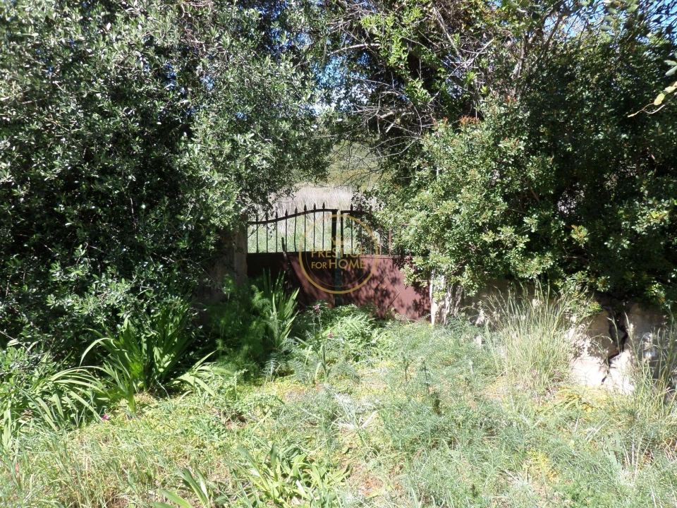 Terreno para Venda em Loule (São Clemente) Foto 2