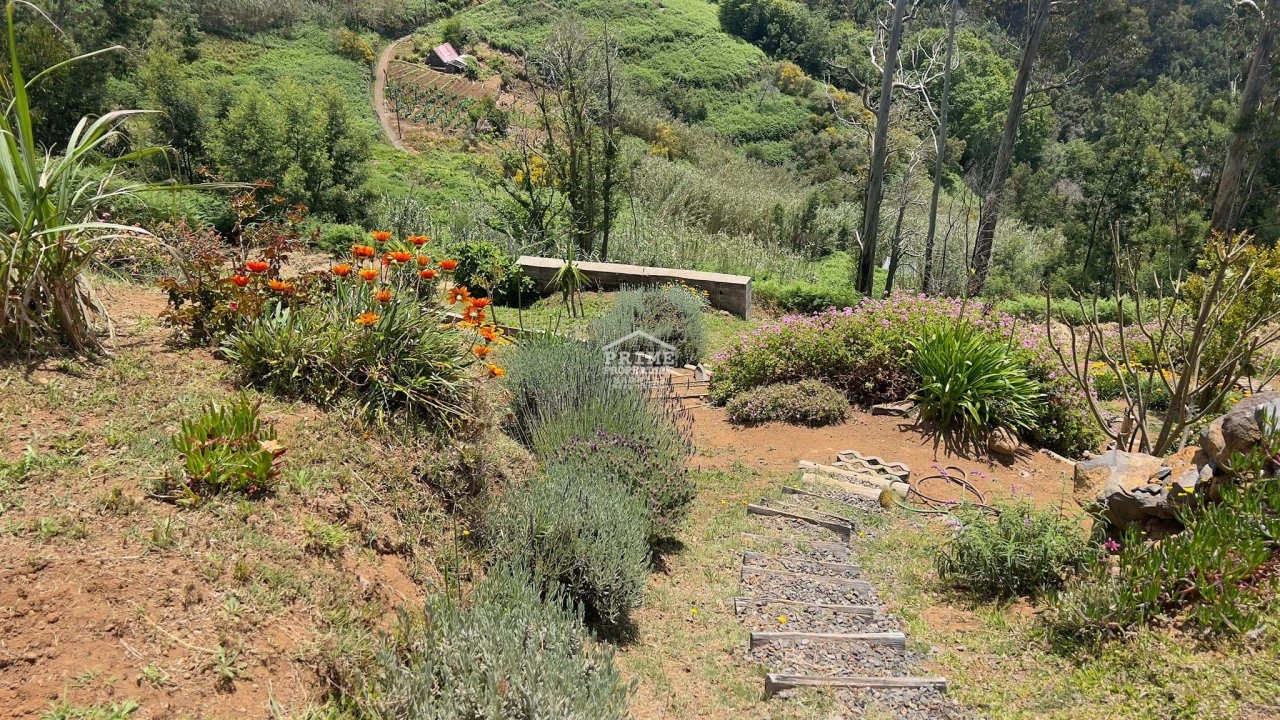 Moradia T4 para Venda em Tabua Foto 31