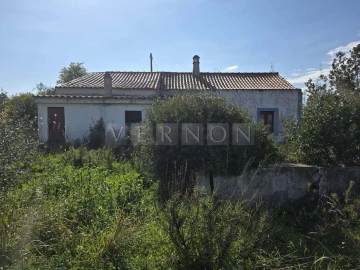 Terreno para Venda em Silves