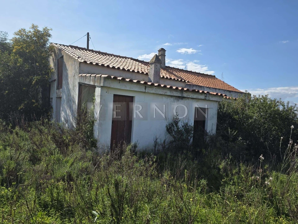 Terreno para Venda em Silves Foto 8