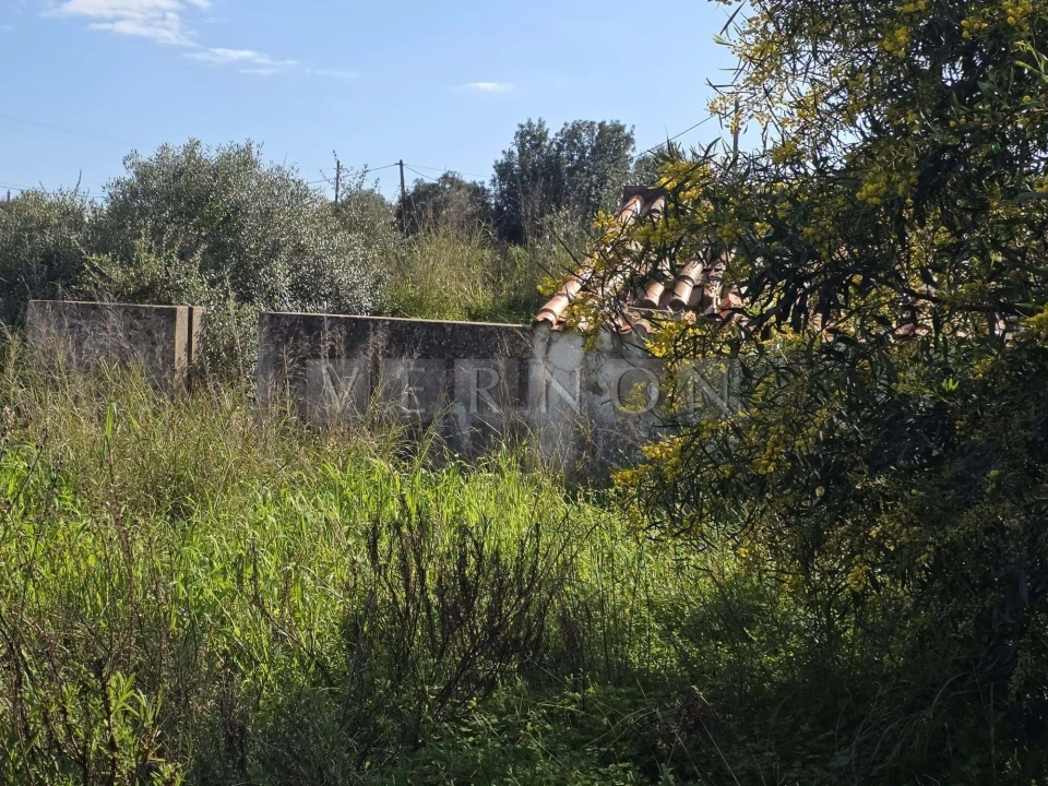 Terreno para Venda em Silves Foto 10