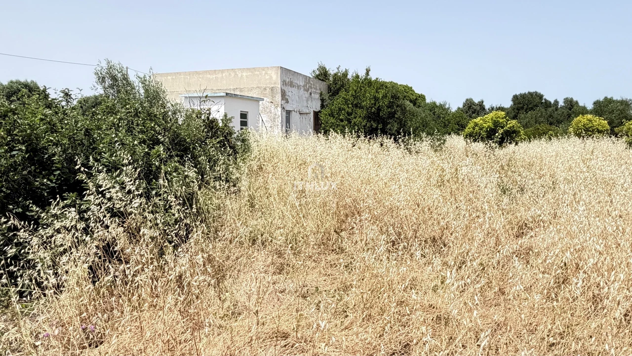 Terreno Agricola ou Rústico para Venda em Olhão Foto 7