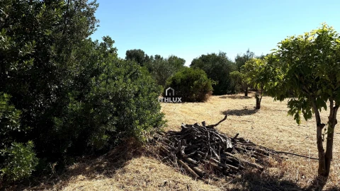 Terreno Agricola ou Rústico para Venda em Olhão