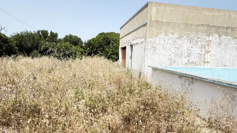 Terreno Agricola ou Rústico para Venda em Olhão