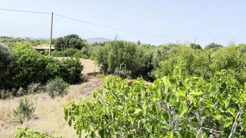 Terreno Agricola ou Rústico para Venda em Olhão