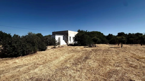 Terreno Agricola ou Rústico para Venda em Olhão
