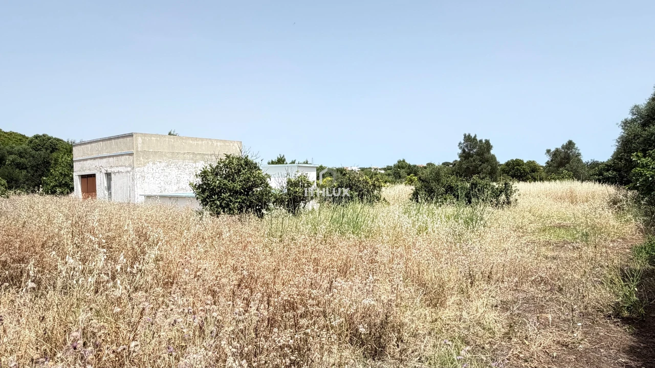 Terreno Agricola ou Rústico para Venda em Olhão Foto 2