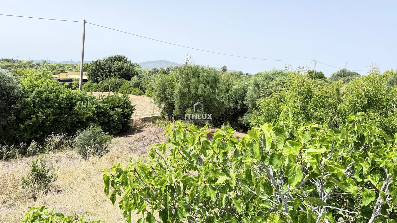 Terreno Agricola ou Rústico para Venda em Olhão Foto 14