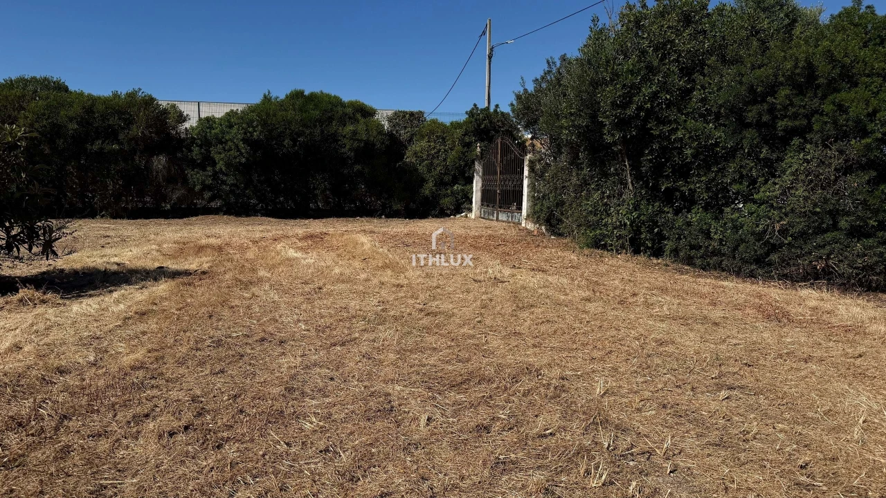 Terreno Agricola ou Rústico para Venda em Olhão Foto 3
