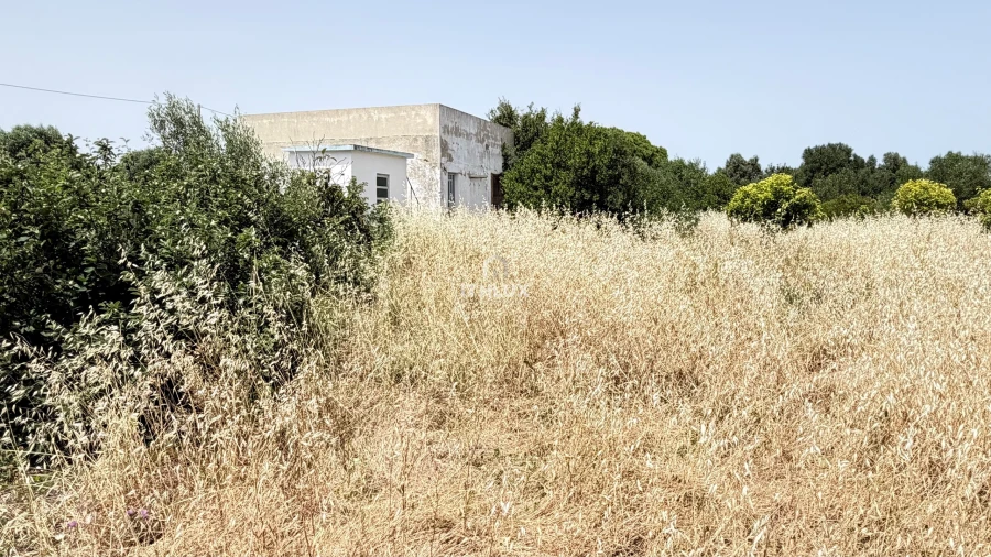Terreno Agricola ou Rústico para Venda em Olhão Foto 7