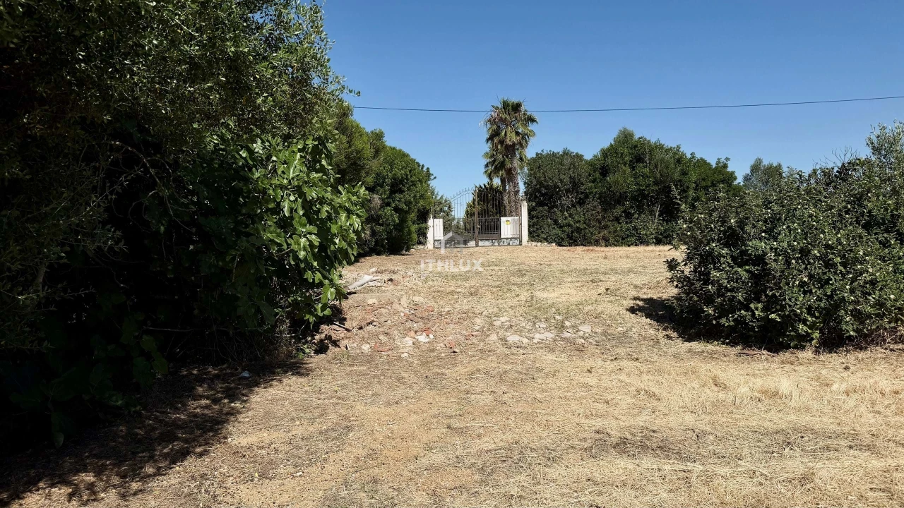 Terreno Agricola ou Rústico para Venda em Olhão Foto 2