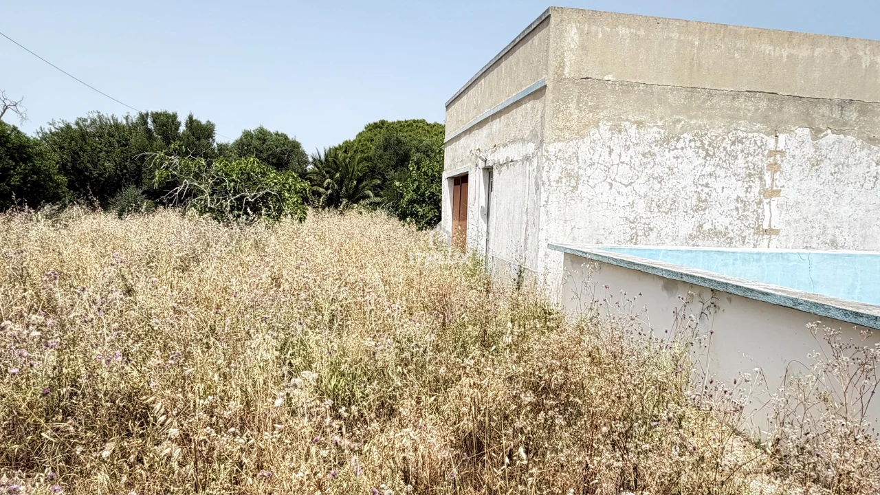 Terreno Agricola ou Rústico para Venda em Olhão Foto 3