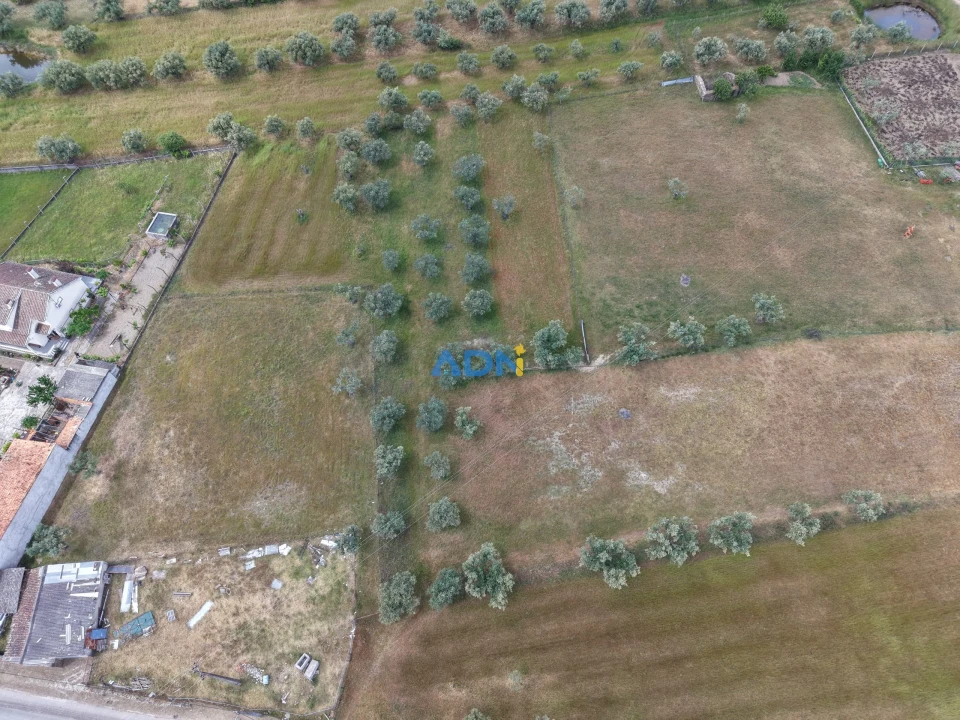 Terreno para Venda em Freixial e Juncal do Campo Foto 3