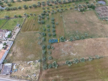 Terreno para Venda em Freixial e Juncal do Campo
