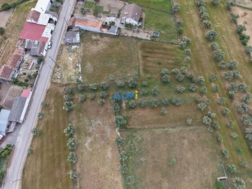 Terreno para Venda em Freixial e Juncal do Campo