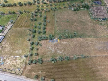 Terreno para Venda em Freixial e Juncal do Campo
