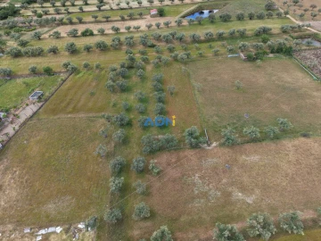 Terreno para Venda em Freixial e Juncal do Campo