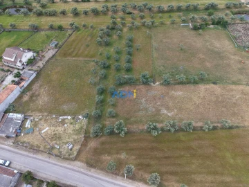 Terreno para Venda em Freixial e Juncal do Campo