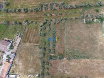 Terreno para Venda em Freixial e Juncal do Campo