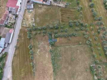 Terreno para Venda em Freixial e Juncal do Campo