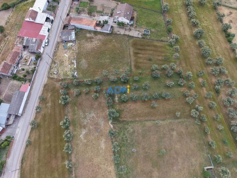 Terreno para Venda em Freixial e Juncal do Campo Foto 1