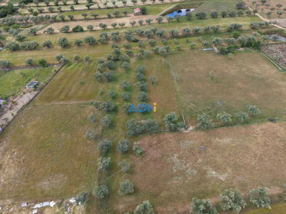 Terreno para Venda em Freixial e Juncal do Campo Foto 2