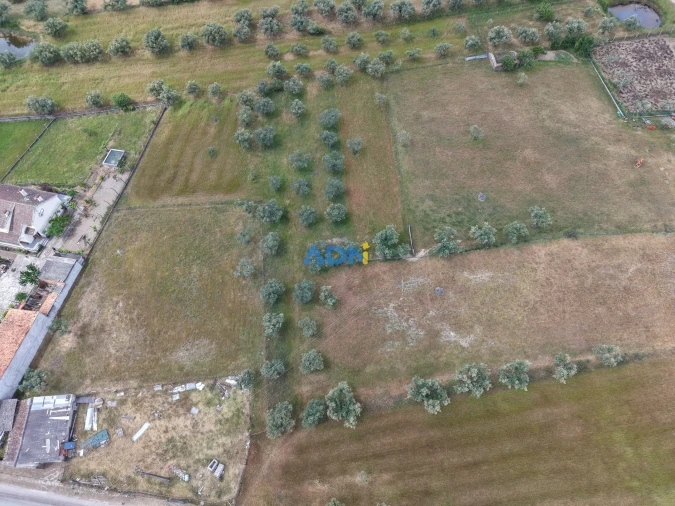 Terreno para Venda em Freixial e Juncal do Campo Foto 3