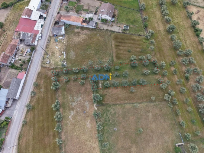 Terreno para Venda em Freixial e Juncal do Campo
