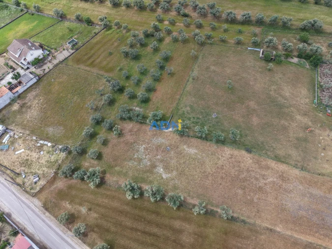 Terreno para Venda em Freixial e Juncal do Campo Foto 4