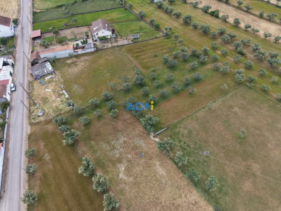 Terreno para Venda em Freixial e Juncal do Campo Foto 9