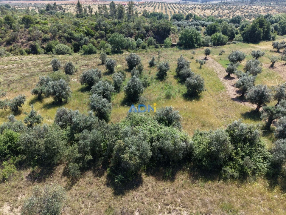 Terreno para Venda em Freixial e Juncal do Campo Foto 4
