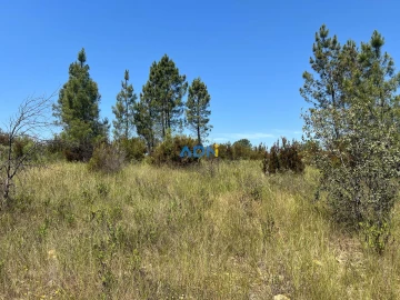 Terreno para Venda em Freixial e Juncal do Campo
