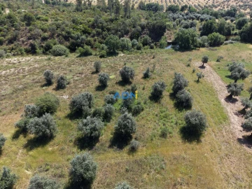 Terreno para Venda em Freixial e Juncal do Campo