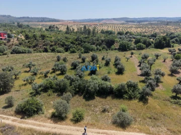 Terreno para Venda em Freixial e Juncal do Campo