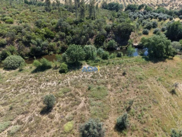 Terreno para Venda em Freixial e Juncal do Campo