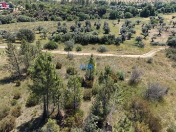 Terreno para Venda em Freixial e Juncal do Campo