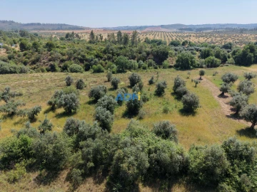 Terreno para Venda em Freixial e Juncal do Campo