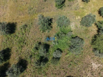 Terreno para Venda em Freixial e Juncal do Campo