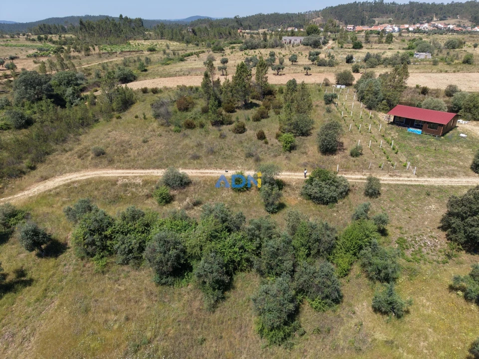 Terreno para Venda em Freixial e Juncal do Campo Foto 13