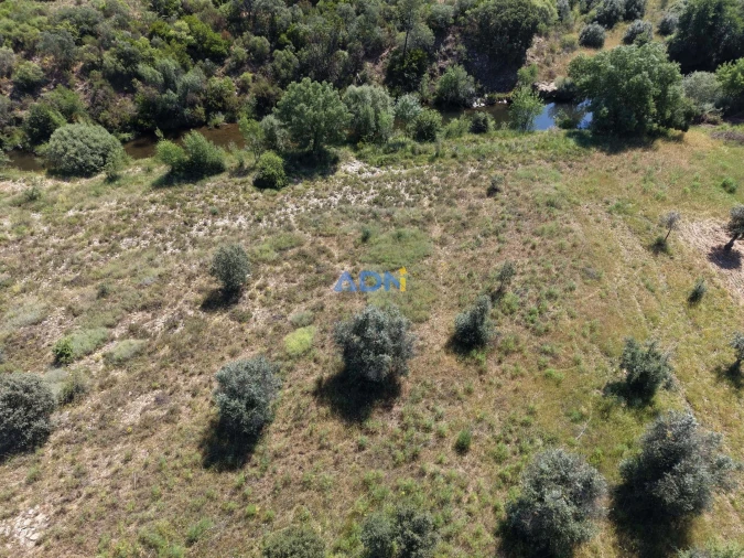 Terreno para Venda em Freixial e Juncal do Campo Foto 11
