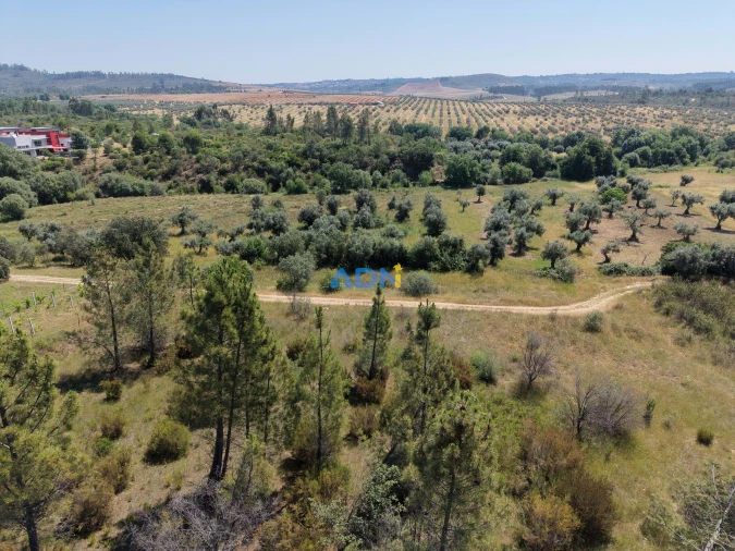 Terreno para Venda em Freixial e Juncal do Campo Foto 3