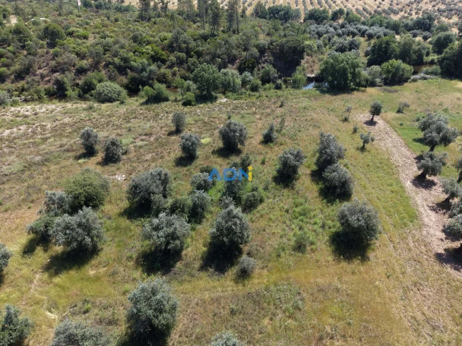 Terreno para Venda em Freixial e Juncal do Campo Foto 10