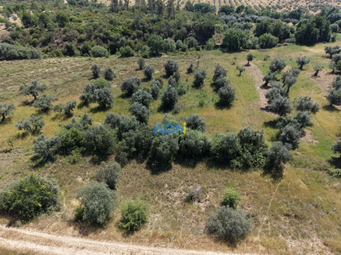 Terreno para Venda em Freixial e Juncal do Campo Foto 8