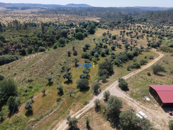 Terreno para Venda em Freixial e Juncal do Campo Foto 5